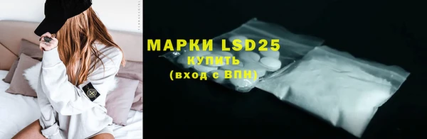 индика Армянск