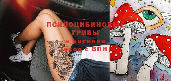 винт Арсеньев