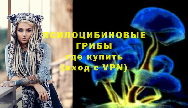 винт Арсеньев