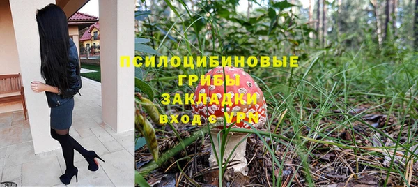 индика Армянск
