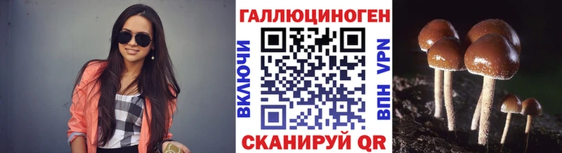 МЕГА   Нижний Тагил  Галлюциногенные грибы Psilocybine cubensis 