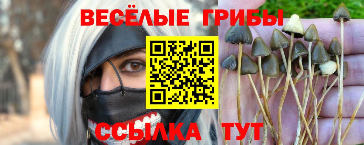 Галлюциногенные грибы мухоморы  Псилоцибиновые грибы GOLDEN TEACHER  Вход с VPN  Нижний Тагил 