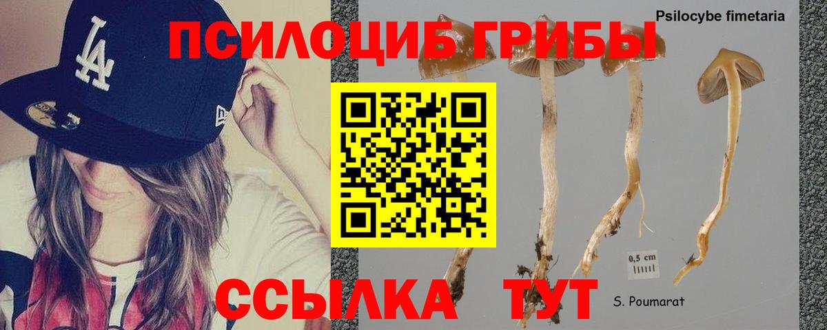 Галлюциногенные грибы Cubensis Нижний Тагил