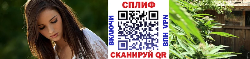 Бошки марихуана семена  наркошоп  omg рабочий сайт  Нижний Тагил 